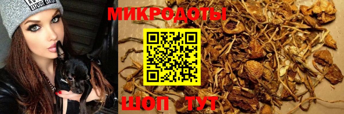 Псилоцибиновые грибы мухоморы Старая Русса