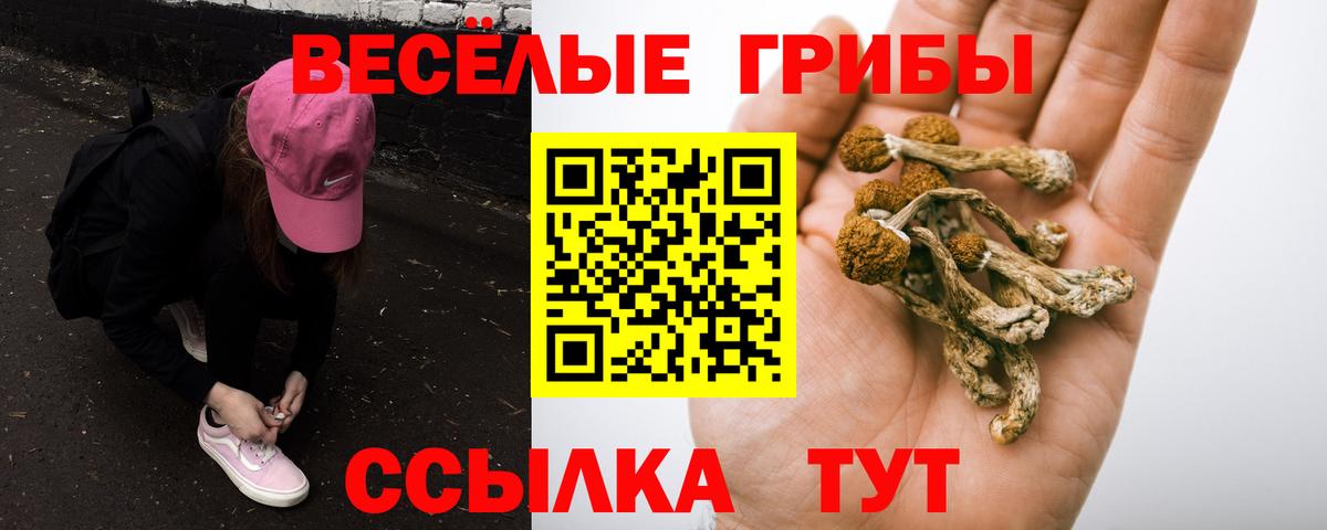 Галлюциногенные грибы Cubensis  Вход с VPN  купить наркоту  Старая Русса 